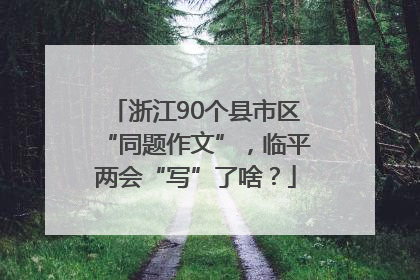 浙江90个县市区“同题作文”，临平两会“写”了啥？