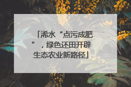 浠水“点污成肥”，绿色还田开辟生态农业新路径