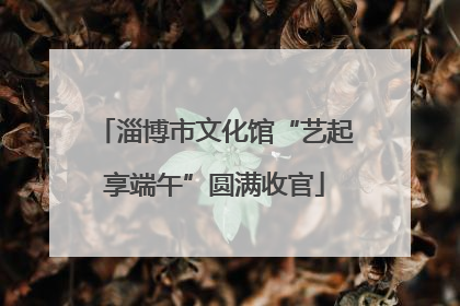 淄博市文化馆“艺起享端午”圆满收官