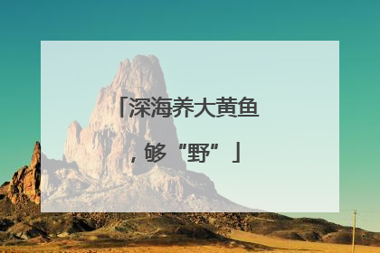 深海养大黄鱼，够“野”