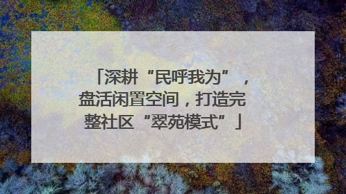 深耕“民呼我为”，盘活闲置空间，打造完整社区“翠苑模式”