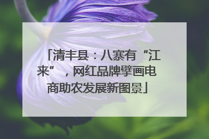 清丰县：八寨有“江来”，网红品牌擘画电商助农发展新图景