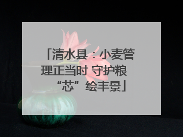 清水县：小麦管理正当时 守护粮“芯”绘丰景