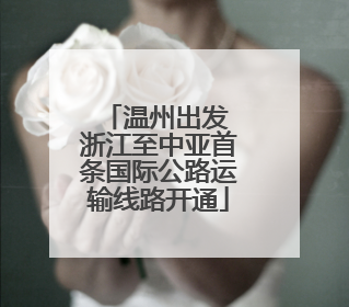 温州出发 浙江至中亚首条国际公路运输线路开通