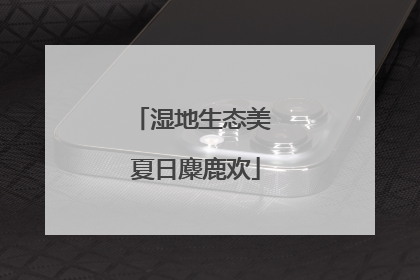 湿地生态美 夏日麋鹿欢