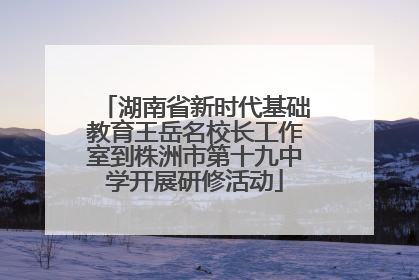 湖南省新时代基础教育王岳名校长工作室到株洲市第十九中学开展研修活动
