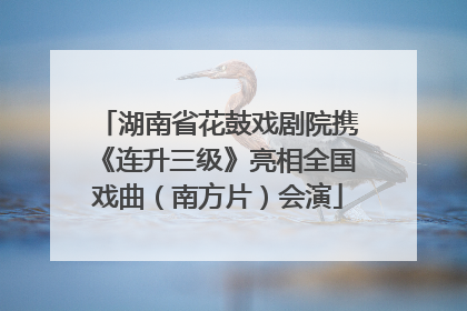 湖南省花鼓戏剧院携《连升三级》亮相全国戏曲（南方片）会演