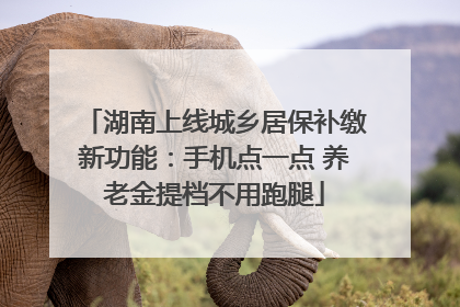湖南上线城乡居保补缴新功能：手机点一点 养老金提档不用跑腿