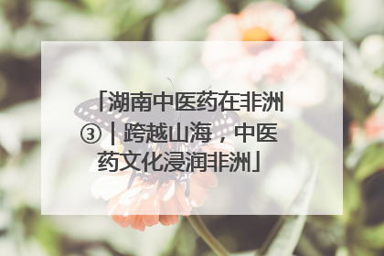 湖南中医药在非洲③｜跨越山海，中医药文化浸润非洲
