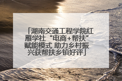 湖南交通工程学院红雁学社“电商+帮扶”赋能模式 助力乡村振兴获帮扶乡镇好评