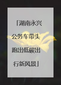 湖南永兴公务车带头跑出低碳出行新风景