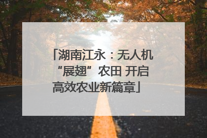 湖南江永：无人机“展翅”农田 开启高效农业新篇章