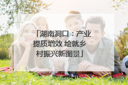 湖南洞口：产业提质增效 绘就乡村振兴新图景