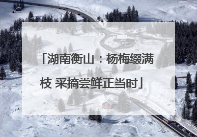 湖南衡山：杨梅缀满枝 采摘尝鲜正当时