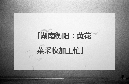 湖南衡阳：黄花菜采收加工忙