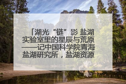 湖光“链”影 盐湖实验室里的星辰与荒原——记中国科学院青海盐湖研究所，盐湖资源化学实验室党总支书记、副主任刘忠