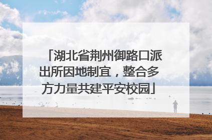 湖北省荆州御路口派出所因地制宜，整合多方力量共建平安校园