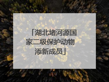 湖北堵河源国家二级保护动物添新成员