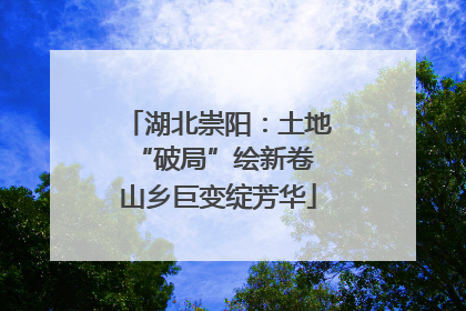 湖北崇阳：土地“破局”绘新卷 山乡巨变绽芳华