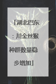湖北巴东：川金丝猴种群数量稳步增加