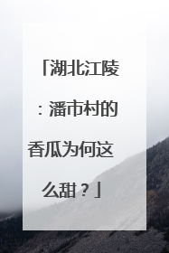 湖北江陵：潘市村的香瓜为何这么甜？