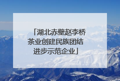 湖北赤壁赵李桥茶业创建民族团结进步示范企业