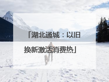 湖北通城：以旧换新激活消费热