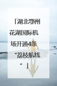 湖北鄂州花湖国际机场开通4条“荔枝航线”