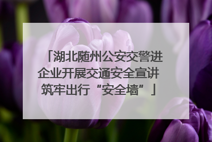 湖北随州公安交警进企业开展交通安全宣讲筑牢出行“安全墙”
