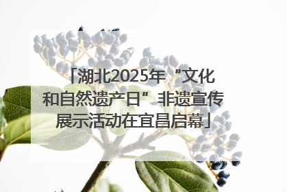 湖北2025年“文化和自然遗产日”非遗宣传展示活动在宜昌启幕