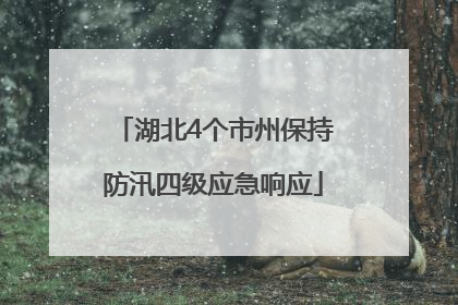 湖北4个市州保持防汛四级应急响应
