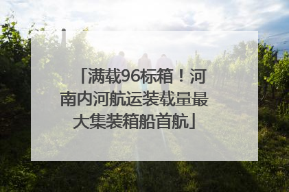 满载96标箱！河南内河航运装载量最大集装箱船首航