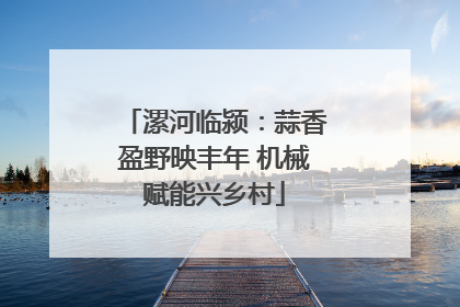 漯河临颍：蒜香盈野映丰年 机械赋能兴乡村