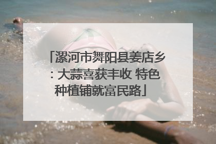 漯河市舞阳县姜店乡：大蒜喜获丰收 特色种植铺就富民路