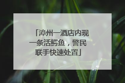 漳州一酒店内现一条活鳄鱼，警民联手快速处置