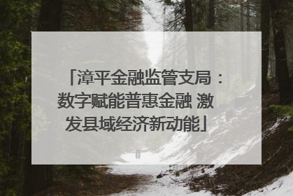 漳平金融监管支局：数字赋能普惠金融 激发县域经济新动能