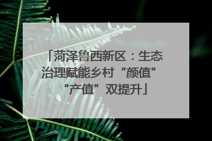 菏泽鲁西新区：生态治理赋能乡村“颜值”“产值”双提升