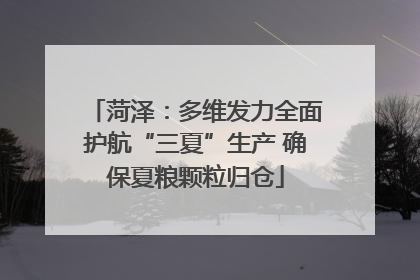 菏泽：多维发力全面护航“三夏”生产 确保夏粮颗粒归仓