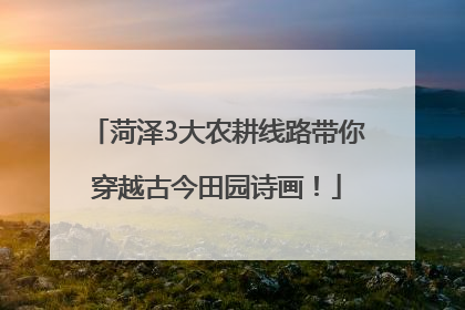 菏泽3大农耕线路带你穿越古今田园诗画！