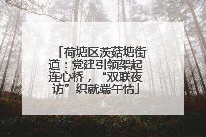 荷塘区茨菇塘街道：党建引领架起连心桥，“双联夜访”织就端午情