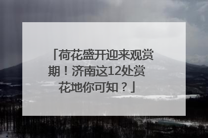 荷花盛开迎来观赏期！济南这12处赏花地你可知？