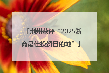 荆州获评“2025浙商最佳投资目的地”