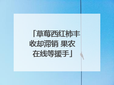 草莓西红柿丰收却滞销 果农在线等援手