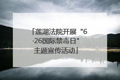 莲湖法院开展“6·26国际禁毒日”主题宣传活动