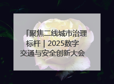 聚焦二线城市治理标杆｜2025数字交通与安全创新大会在保定隆重开幕