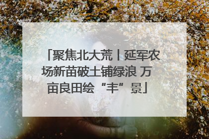 聚焦北大荒丨延军农场新苗破土铺绿浪 万亩良田绘“丰”景