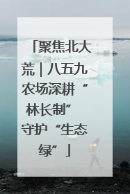 聚焦北大荒｜八五九农场深耕“林长制” 守护“生态绿”