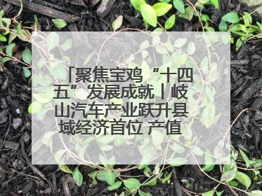 聚焦宝鸡“十四五”发展成就丨岐山汽车产业跃升县域经济首位 产值突破205亿 占规上工业75%