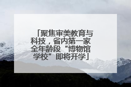 聚焦审美教育与科技，省内第一家全年龄段“博物馆学校”即将开学