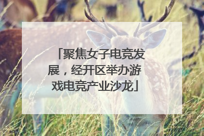 聚焦女子电竞发展，经开区举办游戏电竞产业沙龙